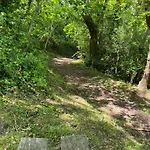 In *